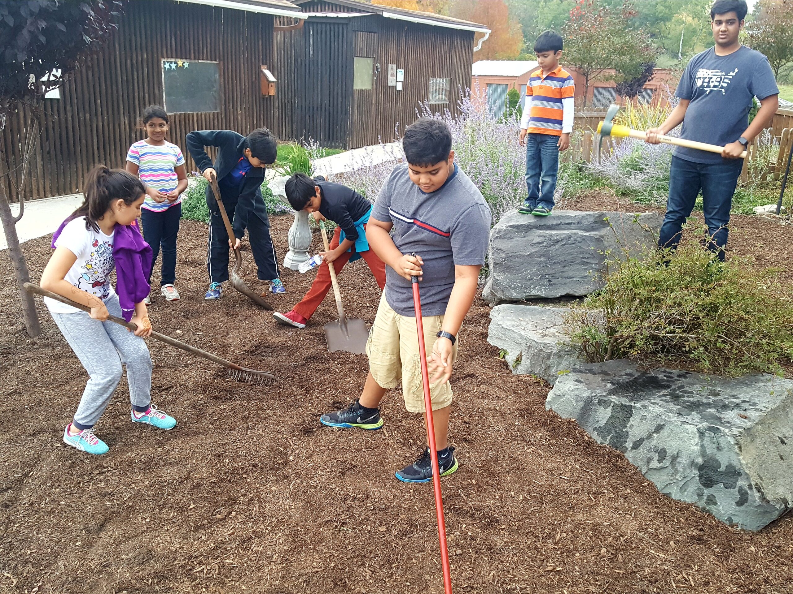 Volunteers helping to build our aviary loop garden.