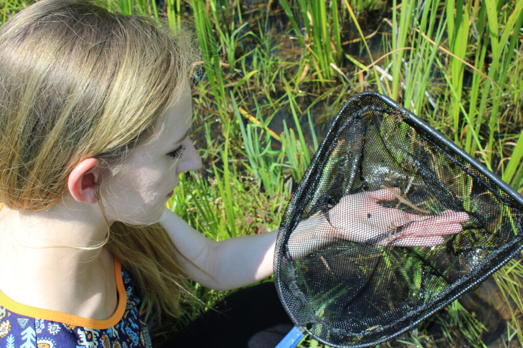 Child observing a net.