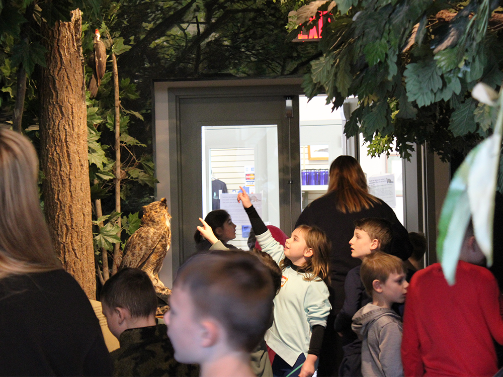 Nature Center & Museum