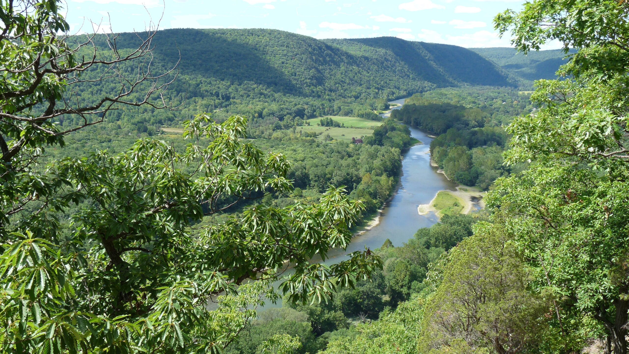The view from the Twain Trail overlook in the summer.